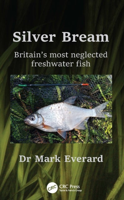 Silver Bream - Britain’s most neglected freshwater fish