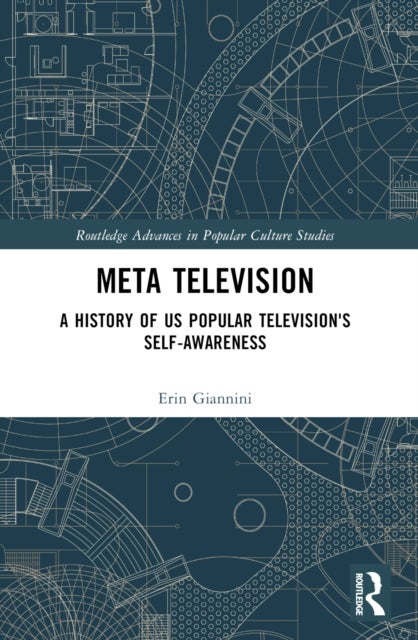 Meta Television - A History of US Popular Television's Self-Awareness