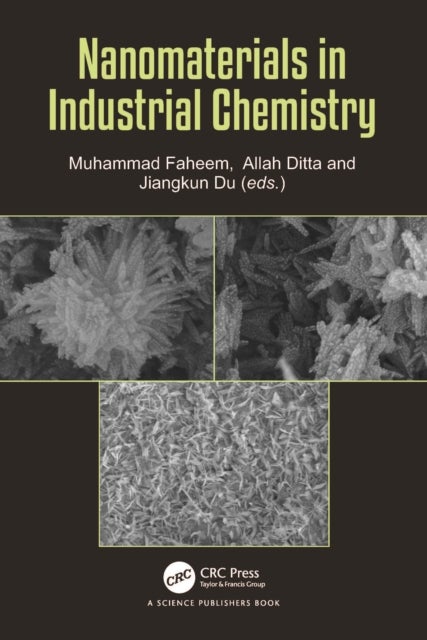 Nanomaterials in Industrial Chemistry