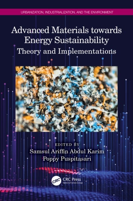 Advanced Materials towards Energy Sustainability - Theory and Implementations
