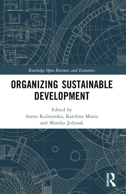 Organizing Sustainable Development