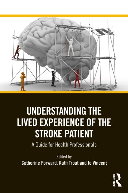 Understanding the Lived Experience of the Stroke Patient - A Guide for Health Professionals