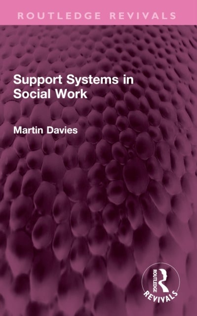 Support Systems in Social Work
