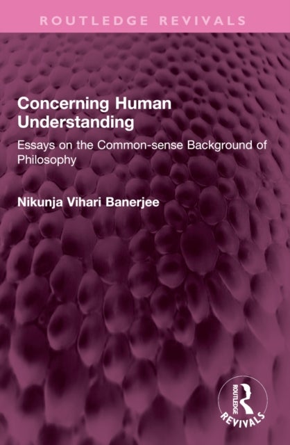 Concerning Human Understanding - Essays on the Common-sense Background of Philosophy