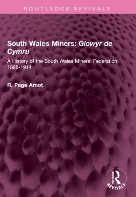 South Wales Miners: Glowyr de Cymru - A History of the South Wales Miners' Federation, 1898-1914