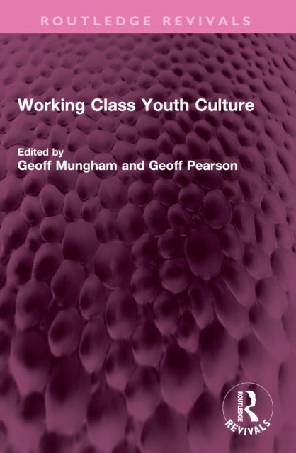 Working Class Youth Culture