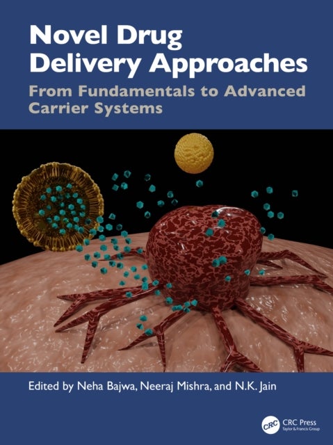 Novel Drug Delivery Approaches - From Fundamentals to Advanced Carrier Systems