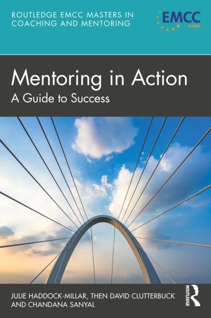 Mentoring in Action - A Guide to Success