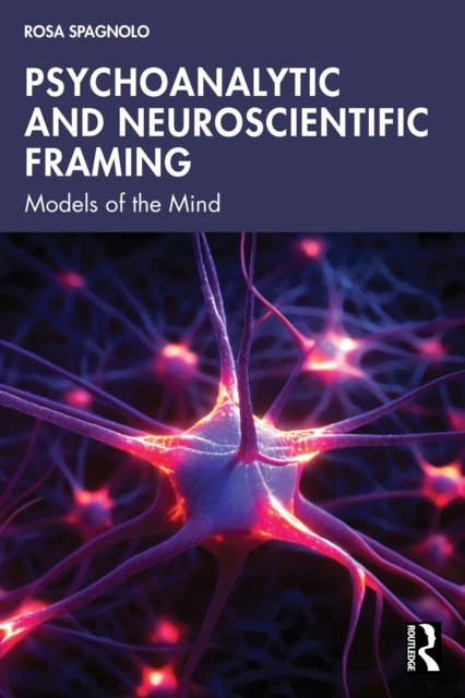 Psychoanalytic and Neuroscientific Framing - Models of the Mind