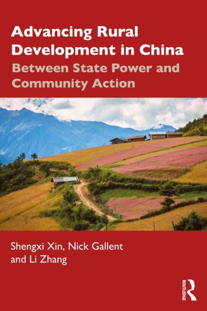 Advancing Rural Development in China - Between State Power and Community Action