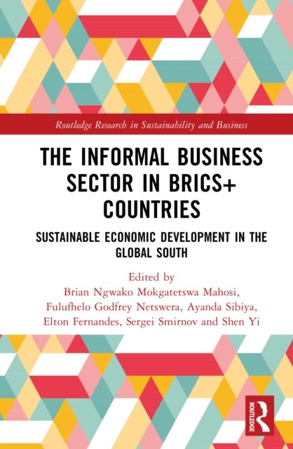 The Informal Business Sector in BRICS+ Countries - Sustainable Economic Development in the Global South