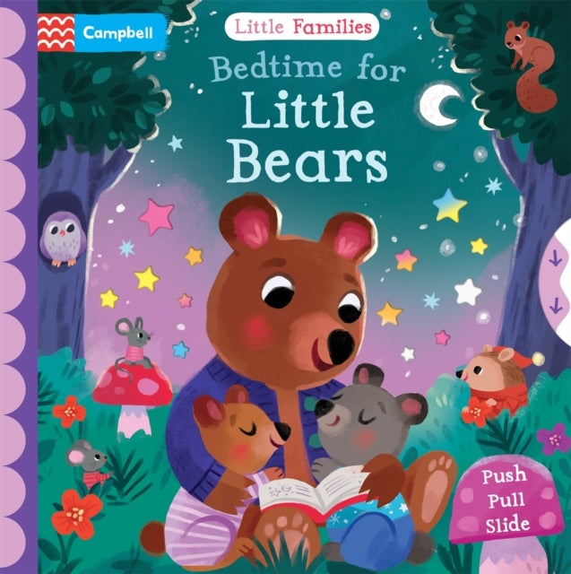 Bedtime for Little Bears - A Push Pull Slide Book