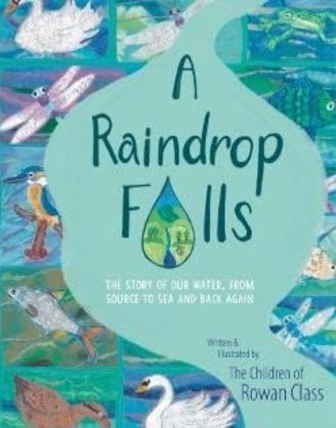 A Raindrop Falls - The story of our water, from source to sea and back again