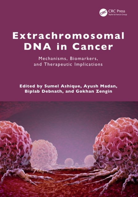 Extrachromosomal DNA in Cancer - Mechanisms, Biomarkers, and Therapeutic Implications