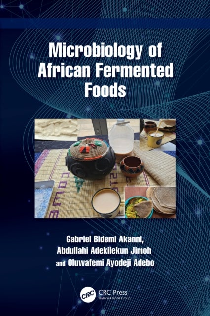 Microbiology of African Fermented Foods