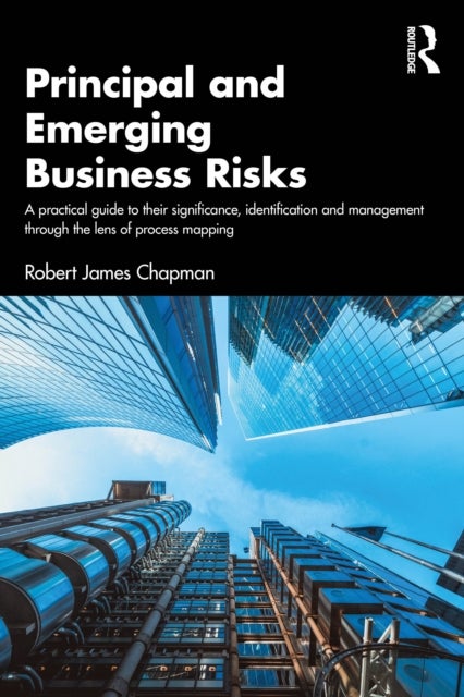 Principal and Emerging Business Risks - A Practical Guide to their Significance, Identification and Management through the Lens of Process Mapping