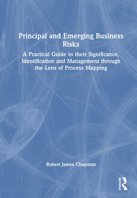 Principal and Emerging Business Risks - A Practical Guide to their Significance, Identification and Management through the Lens of Process Mapping