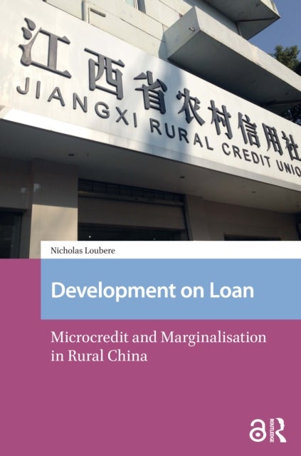 Development on Loan - Microcredit and Marginalisation in Rural China