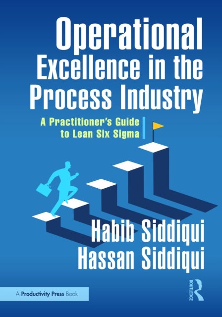 Operational Excellence in the Process Industry - A Practitioner’s Guide to Lean Six Sigma