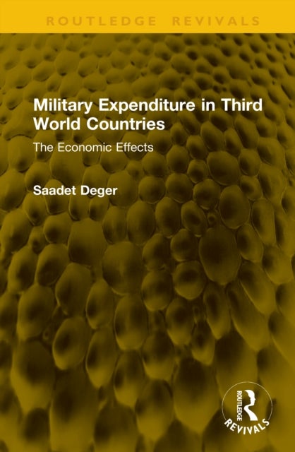 Military Expenditure in Third World Countries - The Economic Effects