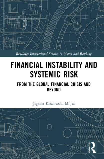 Financial Instability and Systemic Risk - From the Global Financial Crisis and Beyond