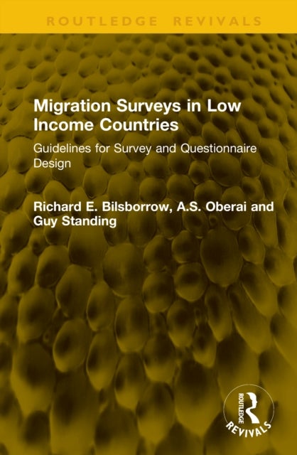 Migration Surveys in Low Income Countries - Guidelines for Survey and Questionnaire Design