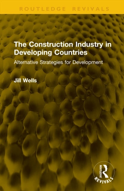 The Construction Industry in Developing Countries - Alternative Strategies for Development