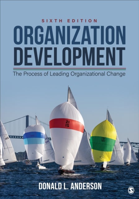 Organization Development - The Process of Leading Organizational Change