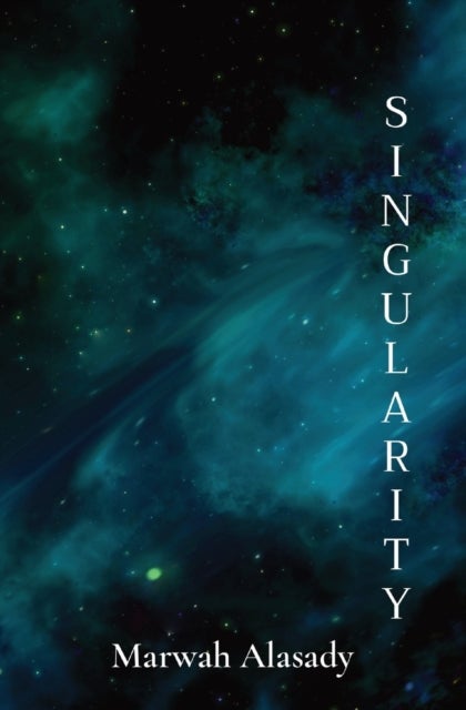 Singularity - finding purpose in an infinite universe