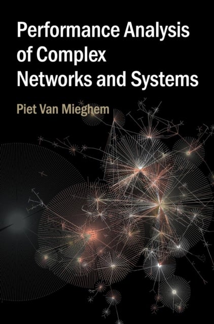 Performance Analysis of Complex Networks and Systems