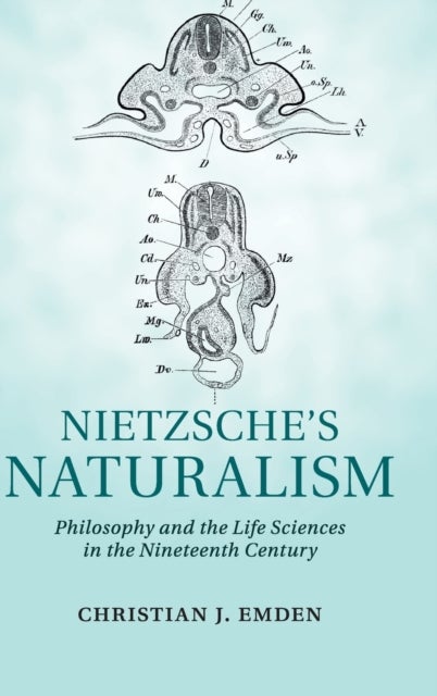 Nietzsche's Naturalism - Philosophy and the Life Sciences in the Nineteenth Century