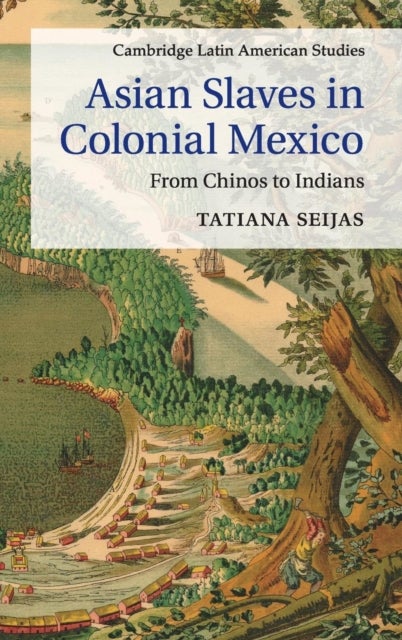 Asian Slaves in Colonial Mexico - From Chinos to Indians