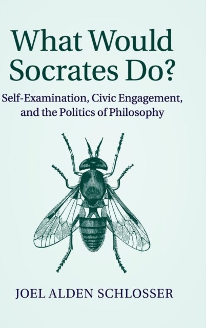 What Would Socrates Do? - Self-Examination, Civic Engagement, and the Politics of Philosophy
