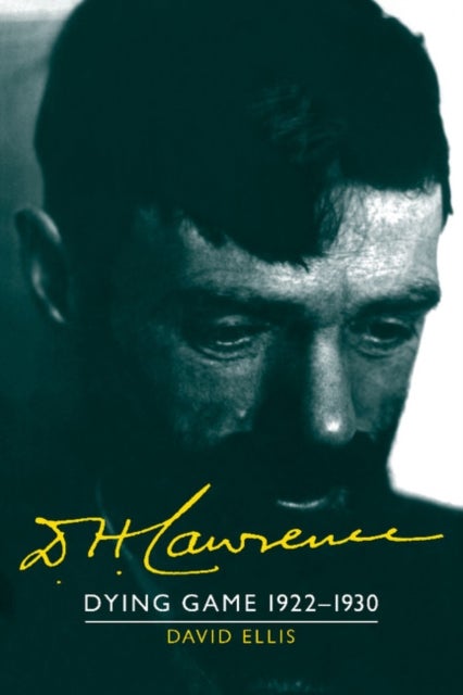 D. H. Lawrence: Dying Game 1922–1930 - The Cambridge Biography of D. H. Lawrence