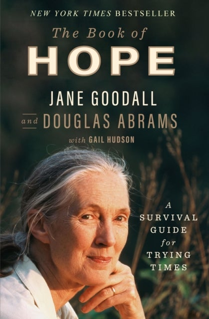 Book of Hope - A Survival Guide for Trying Times