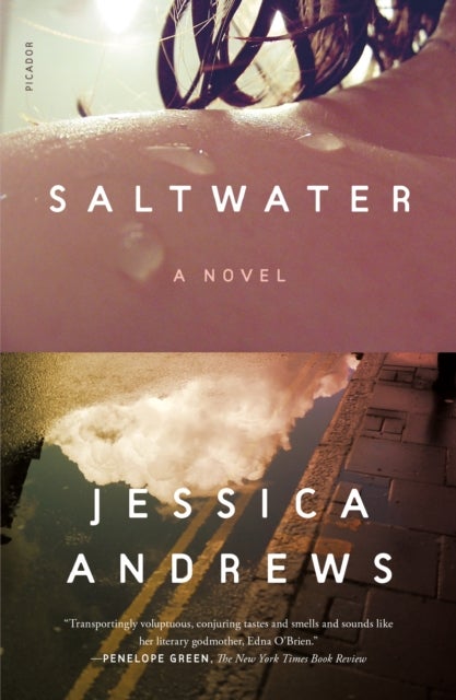 Saltwater - A Novel