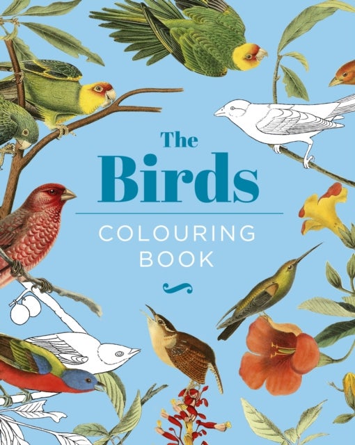 The Birds Colouring Book - Hardback Gift Edition