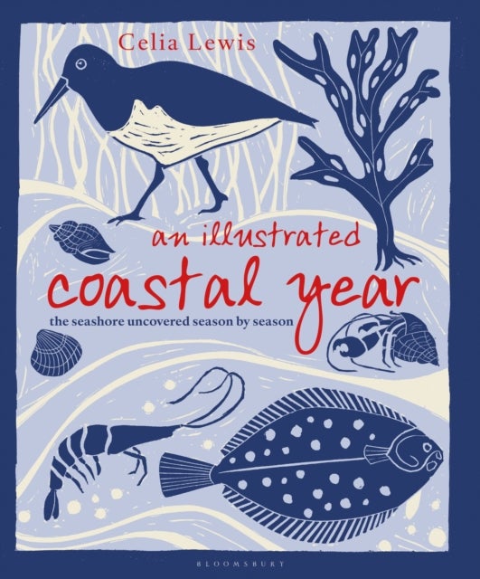 An Illustrated Coastal Year - The seashore uncovered season by season