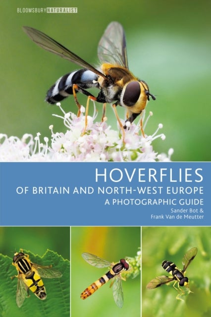 Hoverflies of Britain and North-west Europe - A photographic guide
