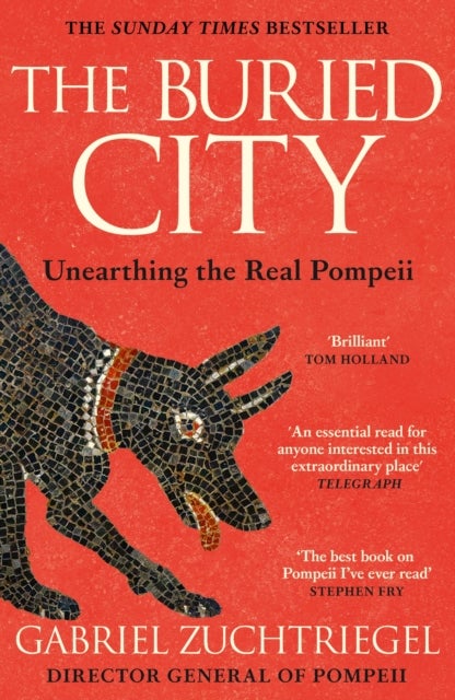 The Buried City - The Revelatory New History from the Director of Pompeii - a Sunday Times Bestseller