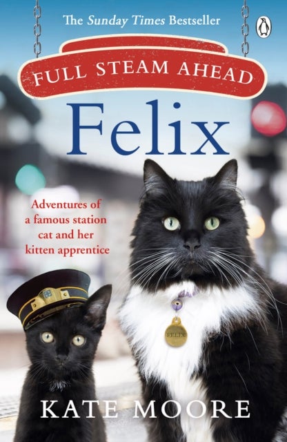 Full Steam Ahead, Felix - Adventures of a famous station cat and her kitten apprentice