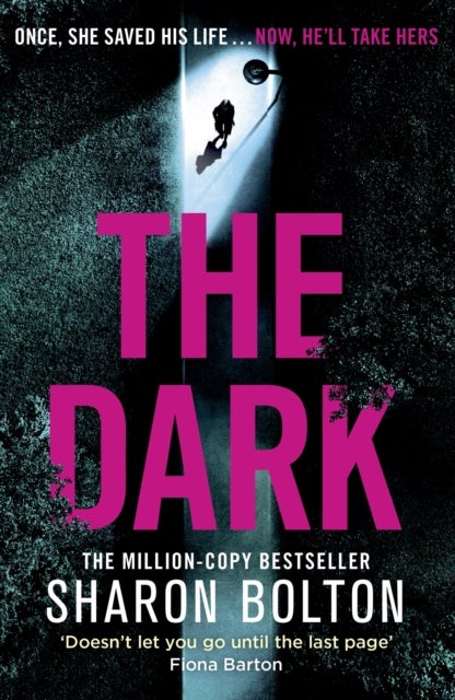 The Dark - A compelling, heart-racing, up-all-night thriller from Richard & Judy bestseller Sharon Bolton