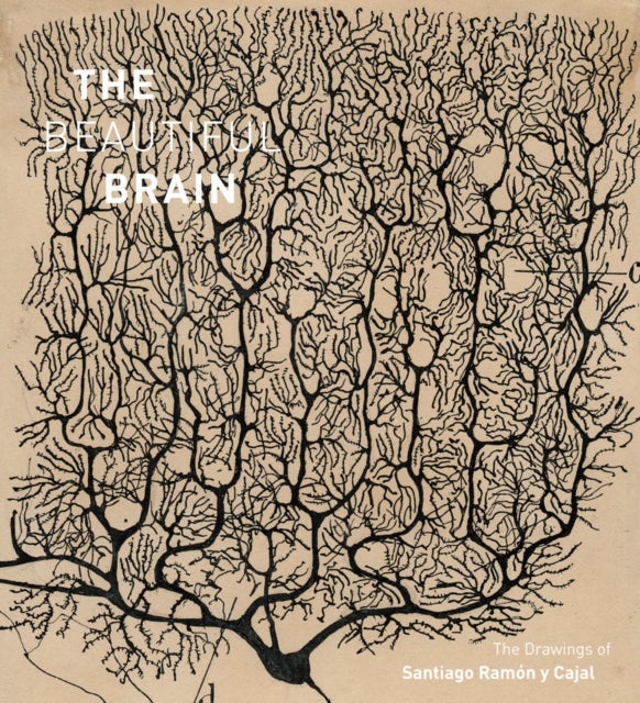 The Beautiful Brain - The Drawings of Santiago Ramon y Cajal