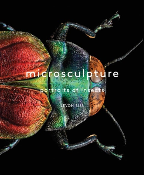 Microsculpture - Portraits of Insects