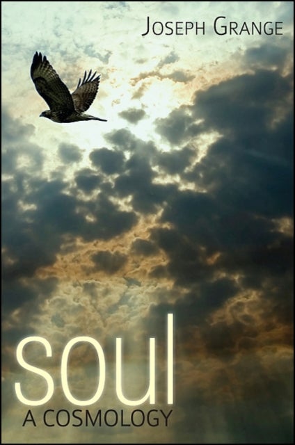 Soul - A Cosmology