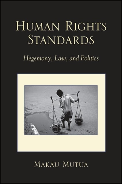Human Rights Standards - Hegemony, Law, and Politics