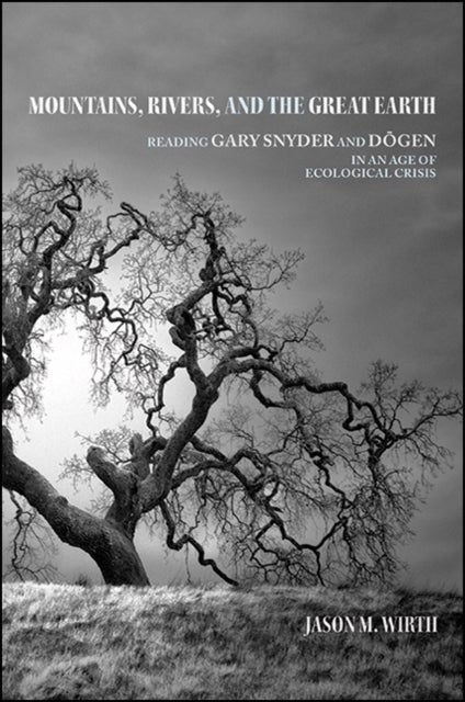Mountains, Rivers, and the Great Earth - Reading Gary Snyder and Dogen in an Age of Ecological Crisis