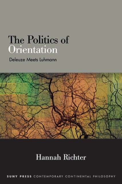 The Politics of Orientation - Deleuze Meets Luhmann