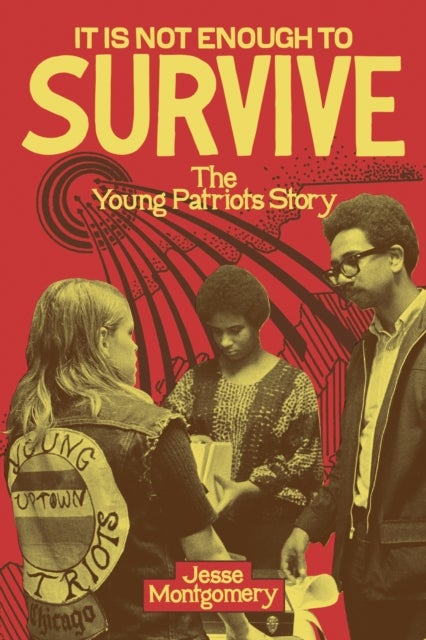 It Is not Enough to Survive - The Young Patriots Story