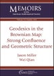Geodesics in the Brownian Map: Strong Confluence and Geometric Structure